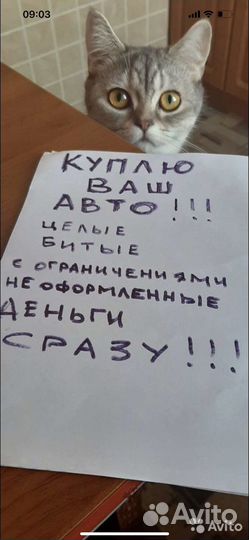Выкуп авто