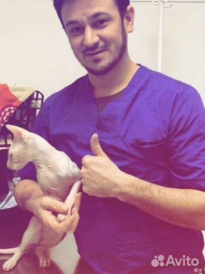 Ветеринарный врач круглосуточно Отлов
