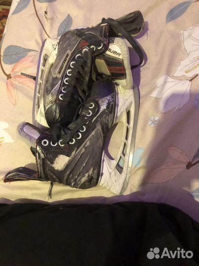 Коньки bauer