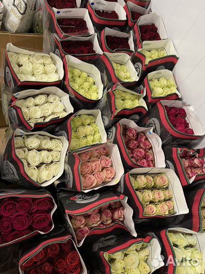 Доставка Цветов. Букет Розы Крупные 60см