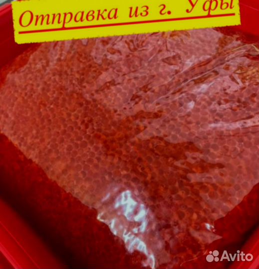 Красная икра