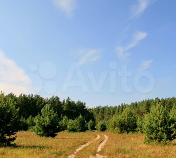 Участок 12 сот. (ИЖС)