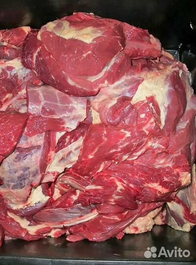 Мясо домашнее говядина