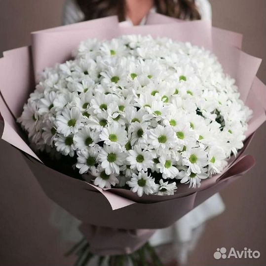 Хризантема Доставка цветов