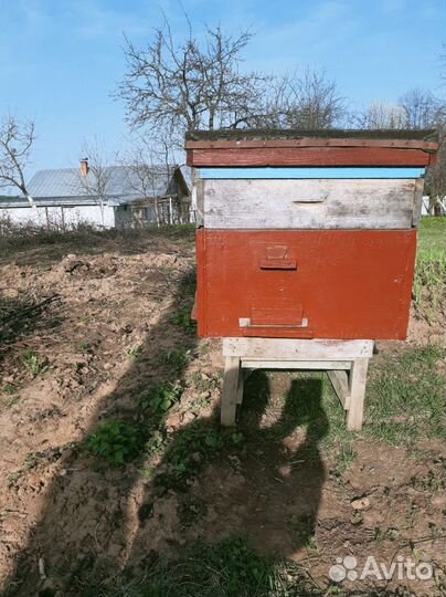 Ульи для пчел с рамками