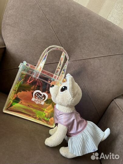 Собачка в сумочке Чичилав