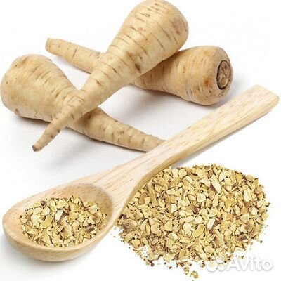 Пастернак сушеный корни