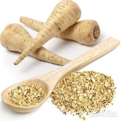 Пастернак сушеный корни