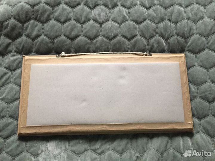 Коллекция бабочек в рамке