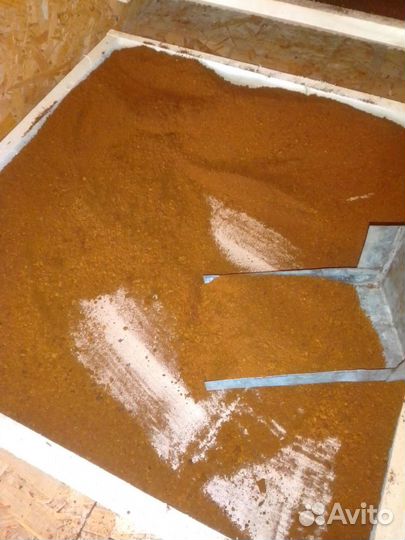 Чага березовая от сборщика