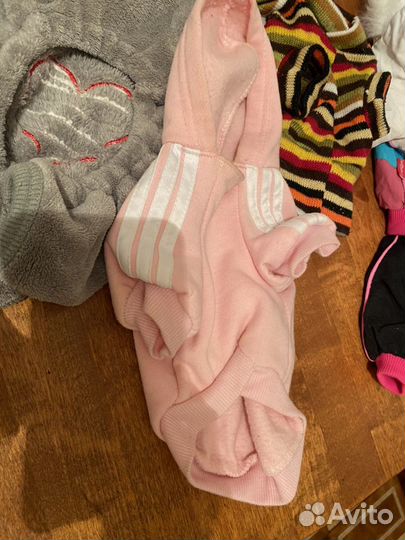 Одежда для собак