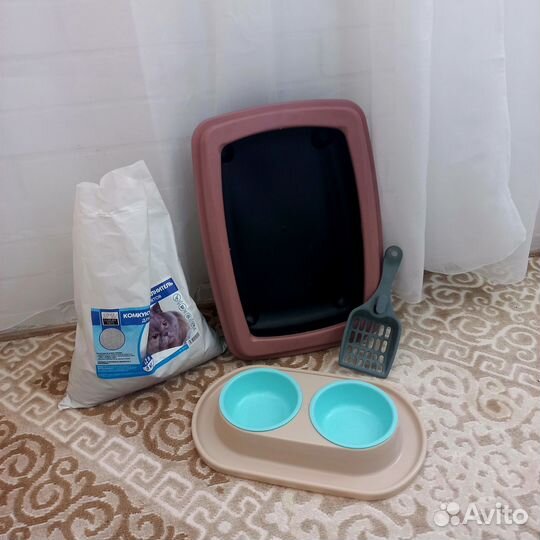 Кошачий лоток и миски для корма