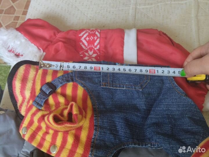 Одежда для собак мелких пород