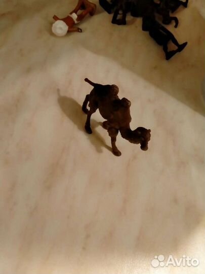 Двухгорбый странник пустыни Верблюд Camel