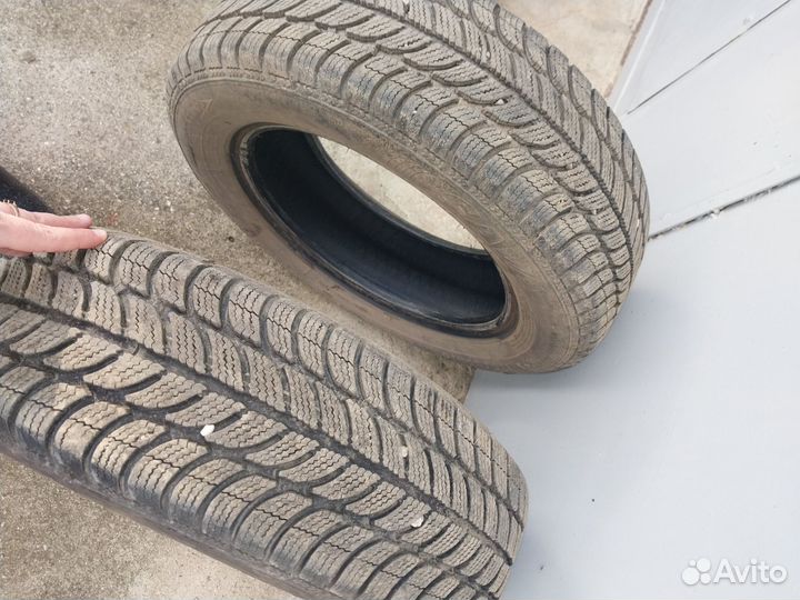 Sava Eskimo S3 Ice 175/65 R14