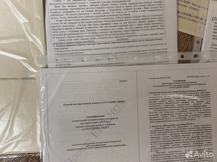 Русский язык егэ