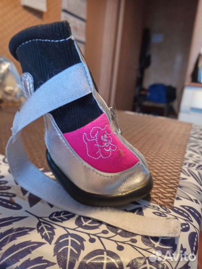 Зимние сапожки для собак