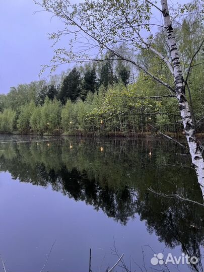 Аренда беседок для пикника у озера в Москве