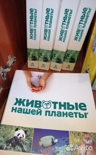 Коллекция Животные нашей планеты DeAgostini