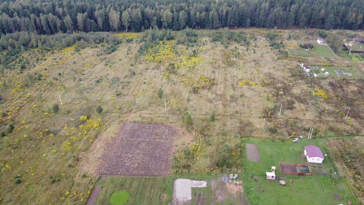 Участок 10 сот. (ИЖС)