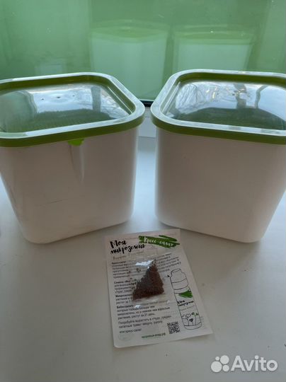 Проращиватель 