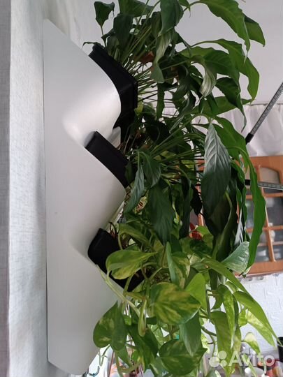 Настенный фитомодуль