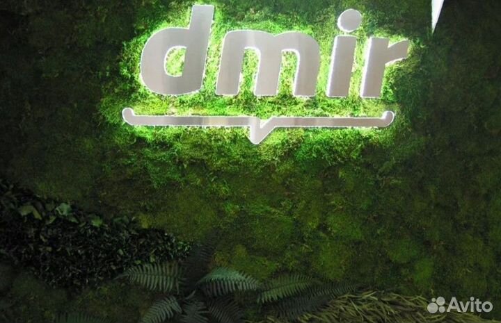 Панно. Декор. Стабилизированный мох