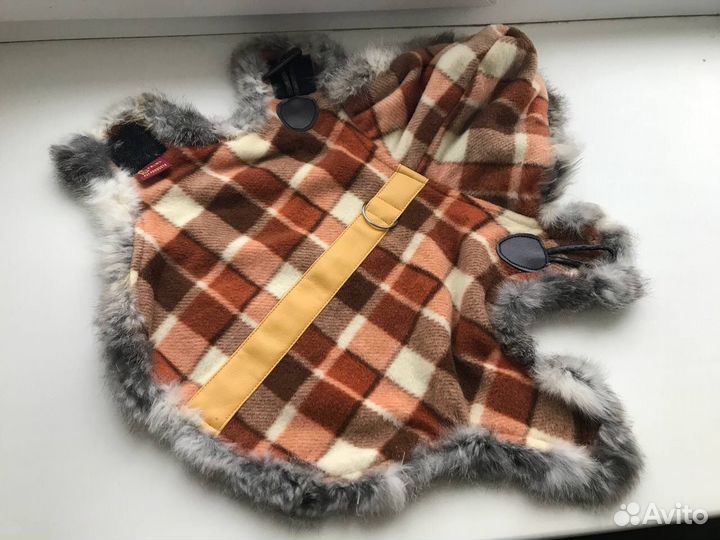 Одежда для животных