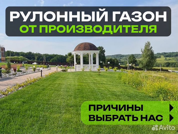 Рулонный газон Элитный. От производителя