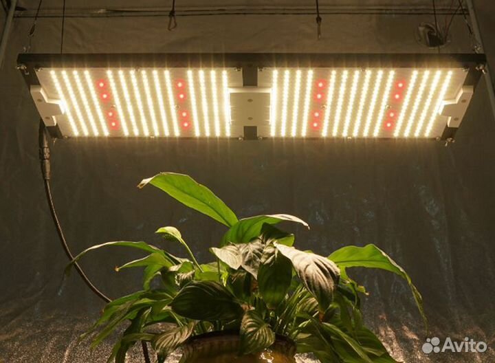 Фитолампа quantum board полный спектр 414