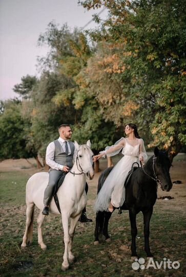 Конные прогулки