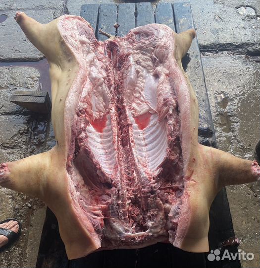 Мясо свинина домашняя