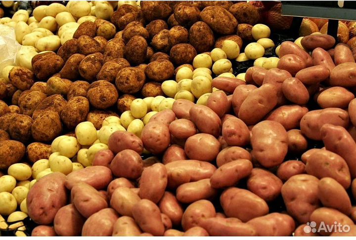 Продам картофель с доставкой