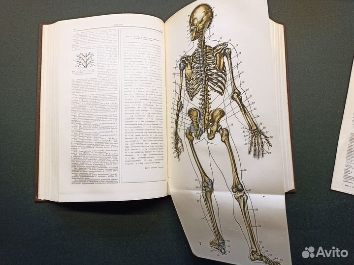 Большая медицинская энциклопедия. Том 29. 1963 