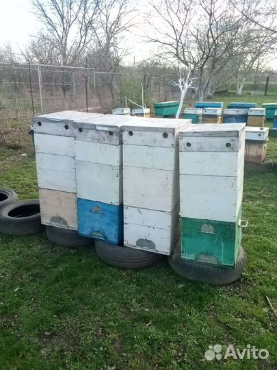 Продам ульи для пчел