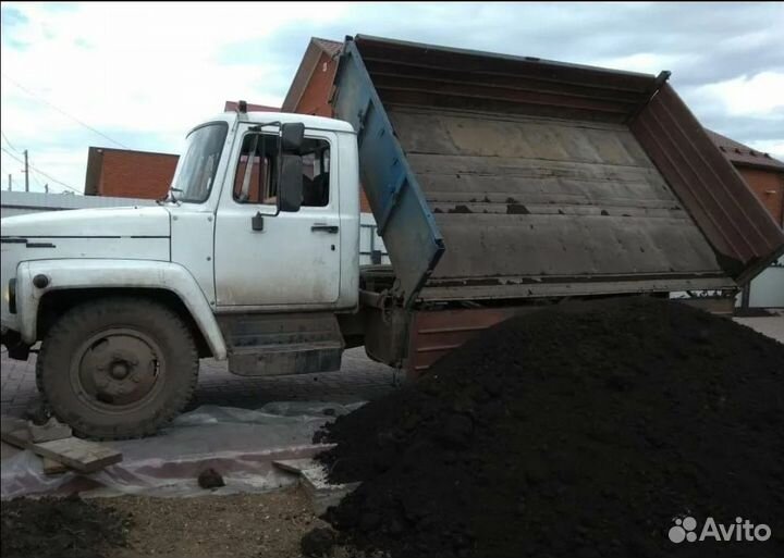 Растения для дома