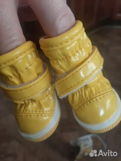 Сапожки / ботиночки для мини собак