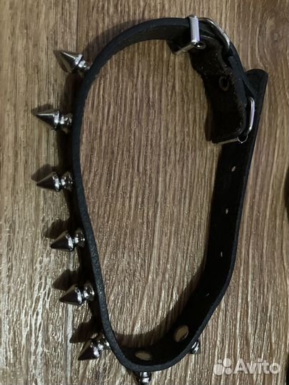 Вещи пакетом для собачки