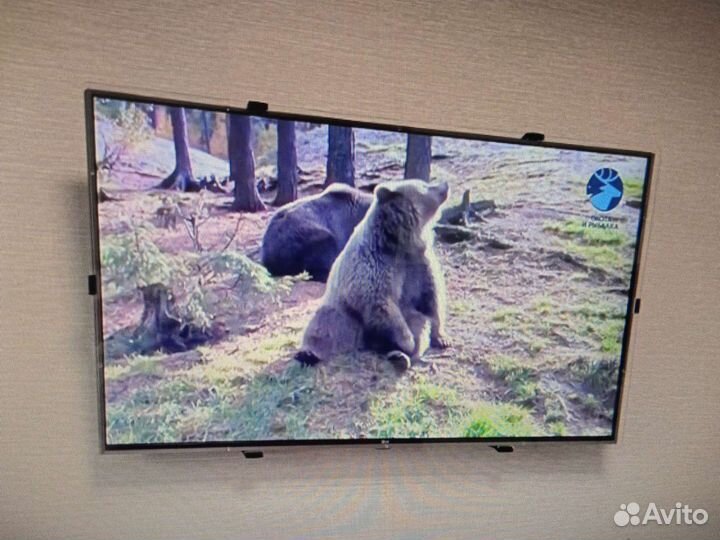 Защитный экран для ЖК телевизора