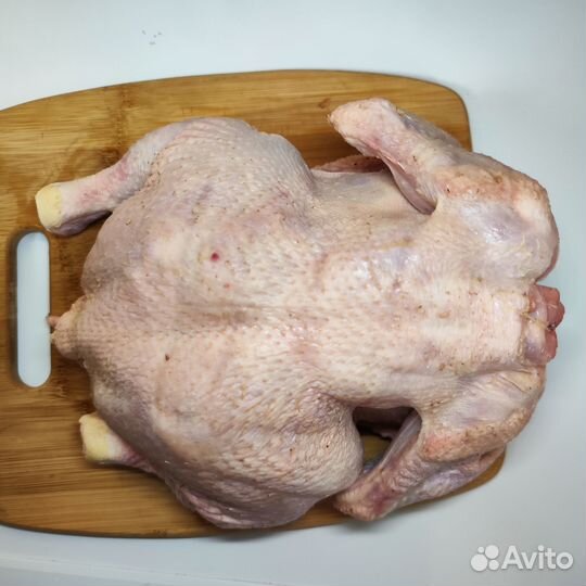 Продукты питания