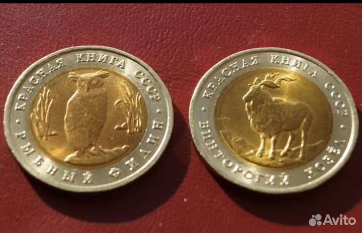 Красная книга 1991 год