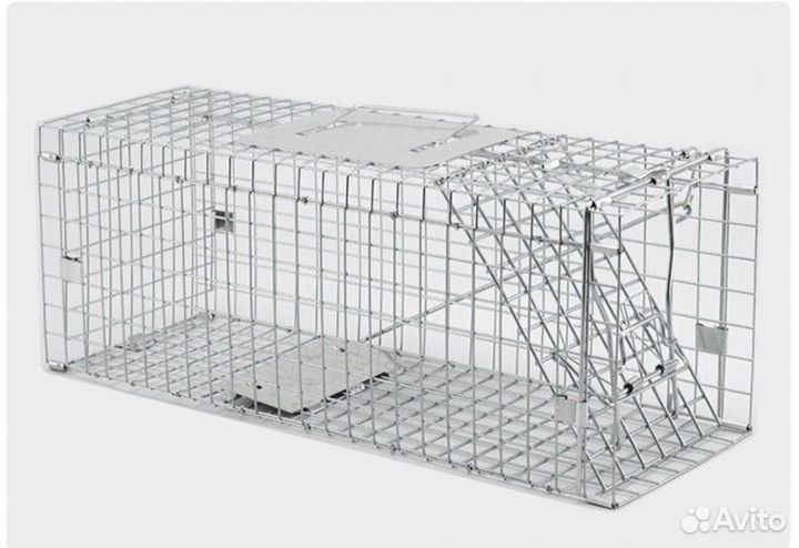 Кошколовка/котоловка в аренду