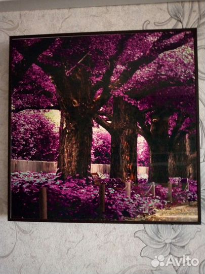 Продам картины