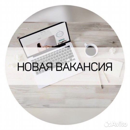 Администратор/куратор клининговой компании