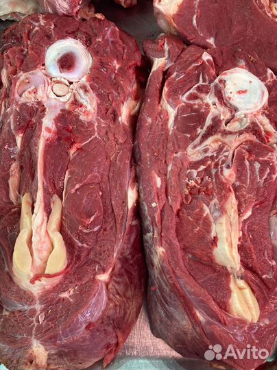 Мясо говядина оптом