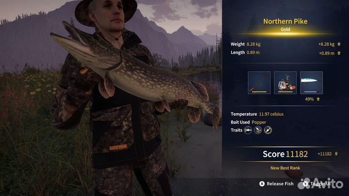 Call of the Wild: The Angler PS4/PS5 на русском