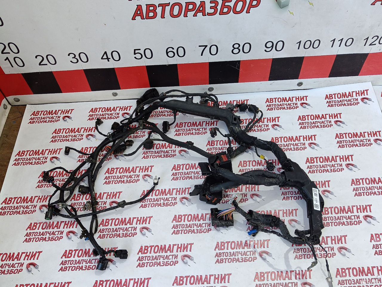 Проводка двигателя Киа Селтос 19-н.в 2.0