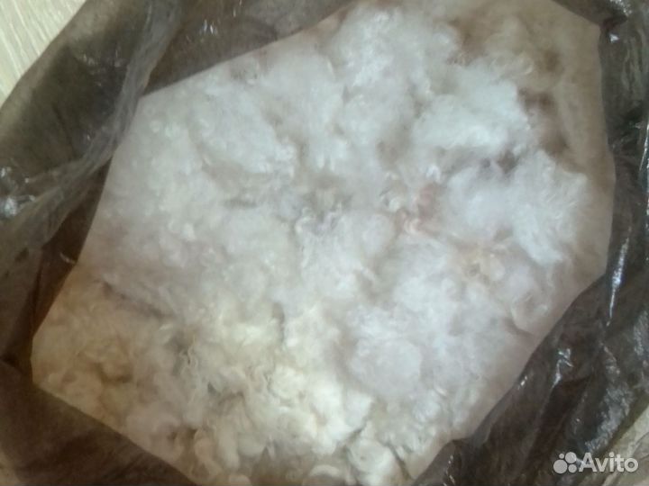 Шерсть пудель