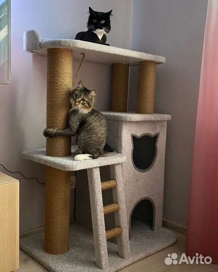 Домики для кошек, игровые комплексы, когтеточки