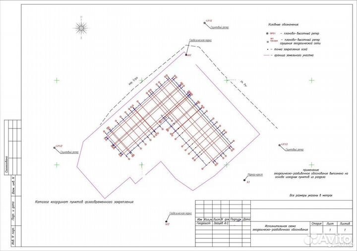 Геодезия, Вынос границ, топографическая съёмка